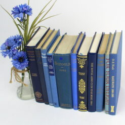 Blue Decorative Books