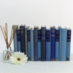 Old Blue Books