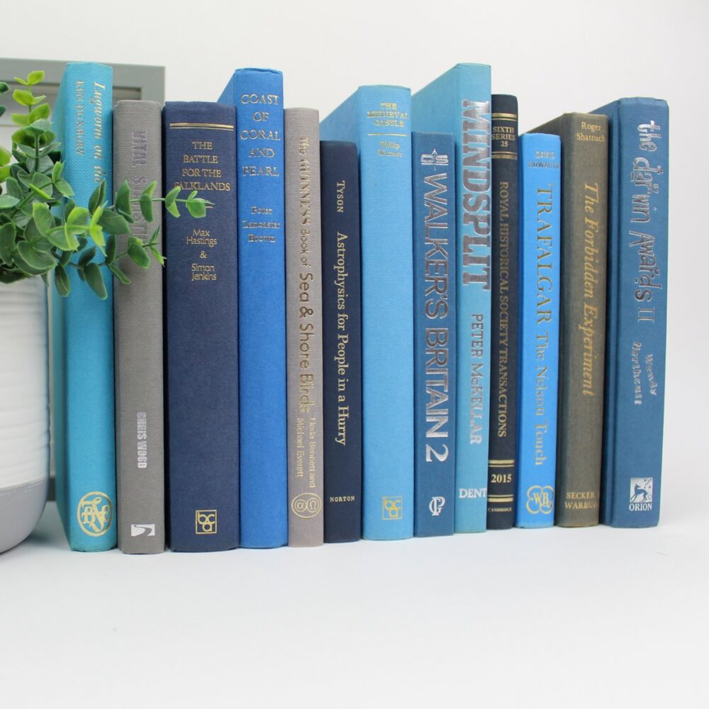 Blue & Grey Books by the Foot. - Image 3