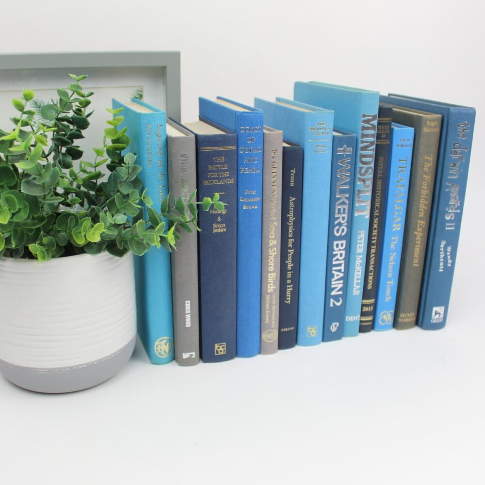 Blue & Grey Books by the Foot.
