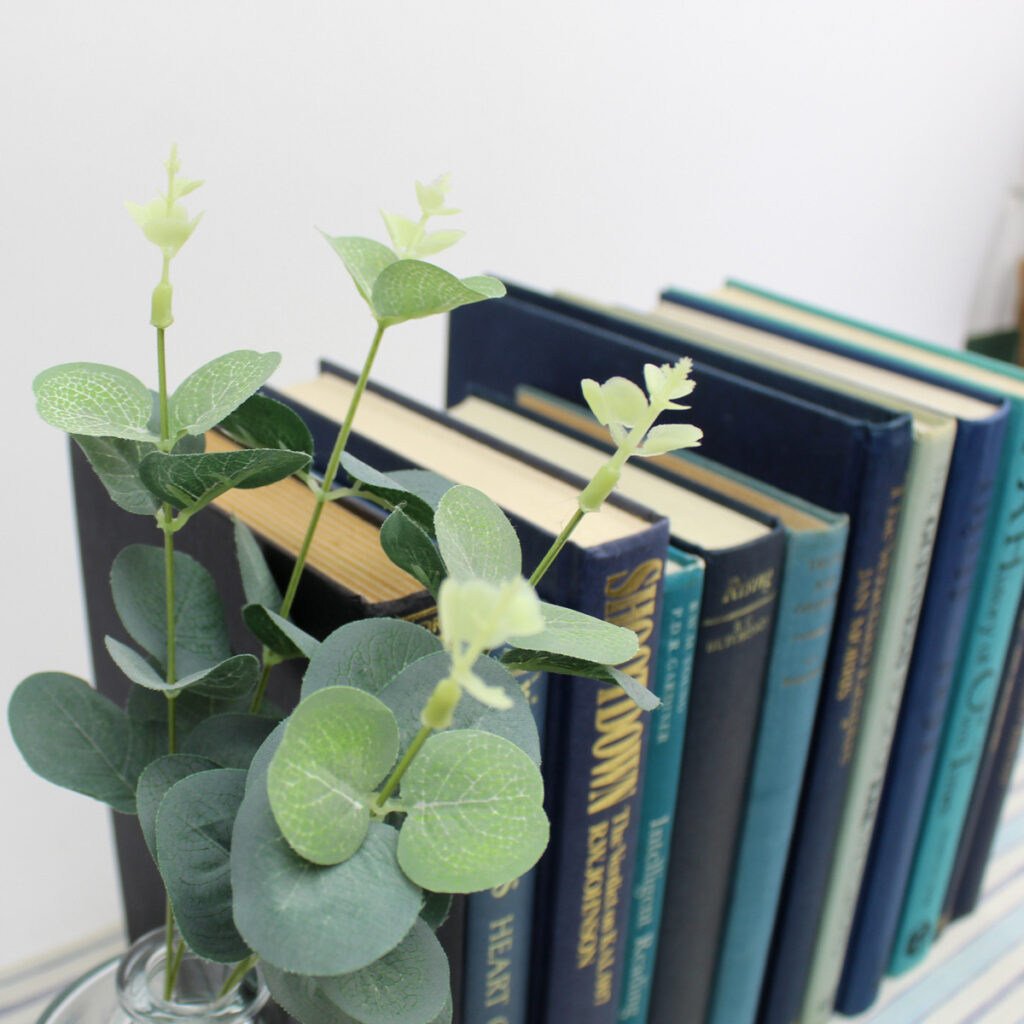 Blue Decorative Books