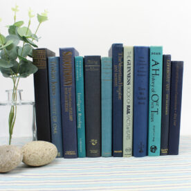 Blue Decorative Books