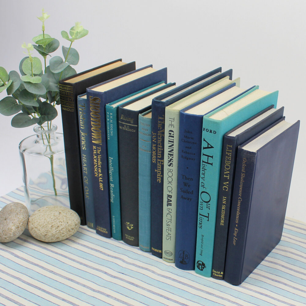 Blue Decorative Books