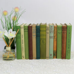 Old Books for Decor