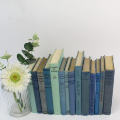 Mixed Blue Decorative Books