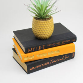 Orange & Black Decorative Books