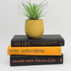 Orange & Black Decorative Books