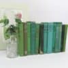 Mixed Green Vintage Books for Decor