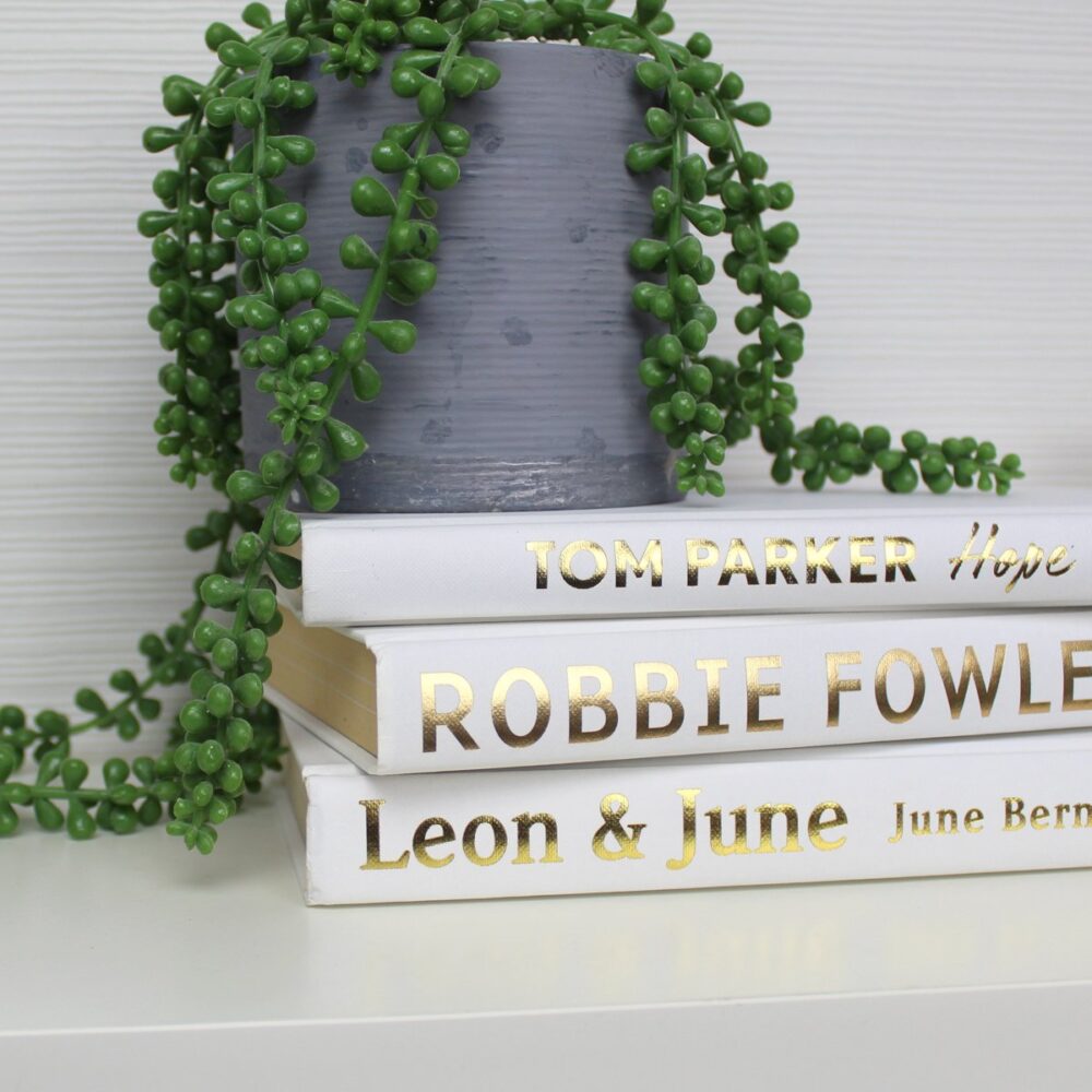 White Modern Bookstack - Image 3