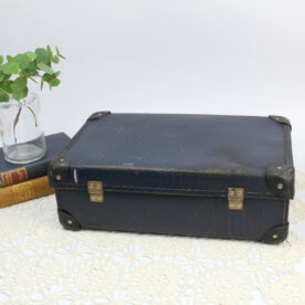 Blue Vintage Travel Case