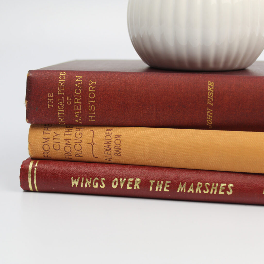 Vintage Books for Decor