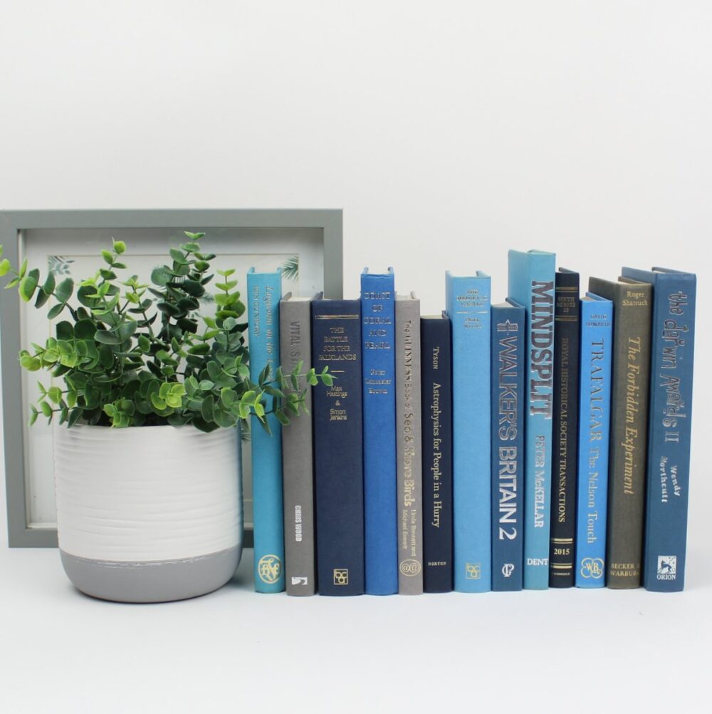 Blue & Grey Books by the Foot. - Image 2